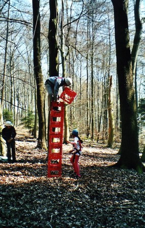 Kistenklettern bei Maya - Foto von Wilfried Duckstein